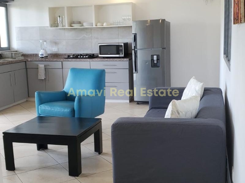 Punta Popi, 2 Bedrooms Bedrooms, ,2 BathroomsBathrooms,Apartment,For Sale,1046