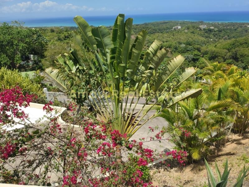 Hoyo Cacao, 3 Bedrooms Bedrooms, ,3 BathroomsBathrooms,Villa,For Sale,1048