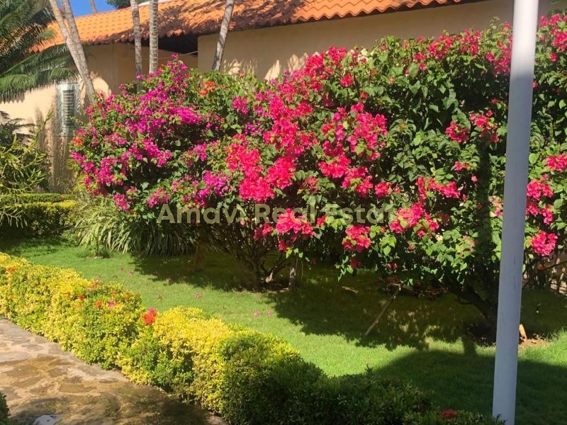 Punta Popi, 2 Bedrooms Bedrooms, ,2 BathroomsBathrooms,Condominium,For Sale,1055