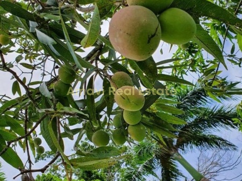 El Limon, 3 Bedrooms Bedrooms, ,2 BathroomsBathrooms,Villa,For Sale,1062