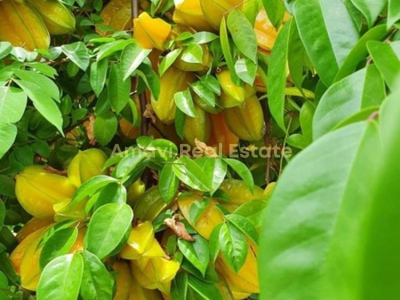 El Limon, 3 Bedrooms Bedrooms, ,2 BathroomsBathrooms,Villa,For Sale,1062