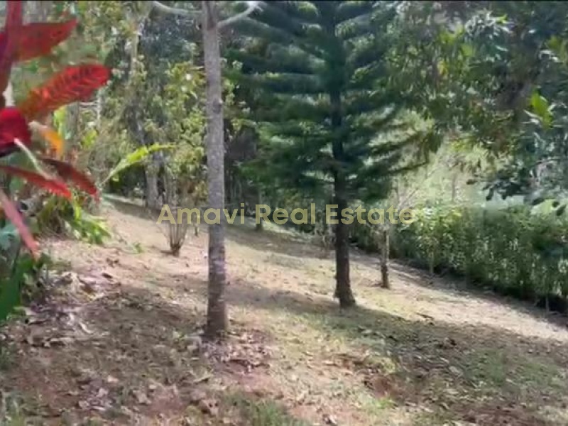 Las Terrenas, Los Naranjitos, 5 Bedrooms Bedrooms, ,4 BathroomsBathrooms,Villa,For Sale,1063