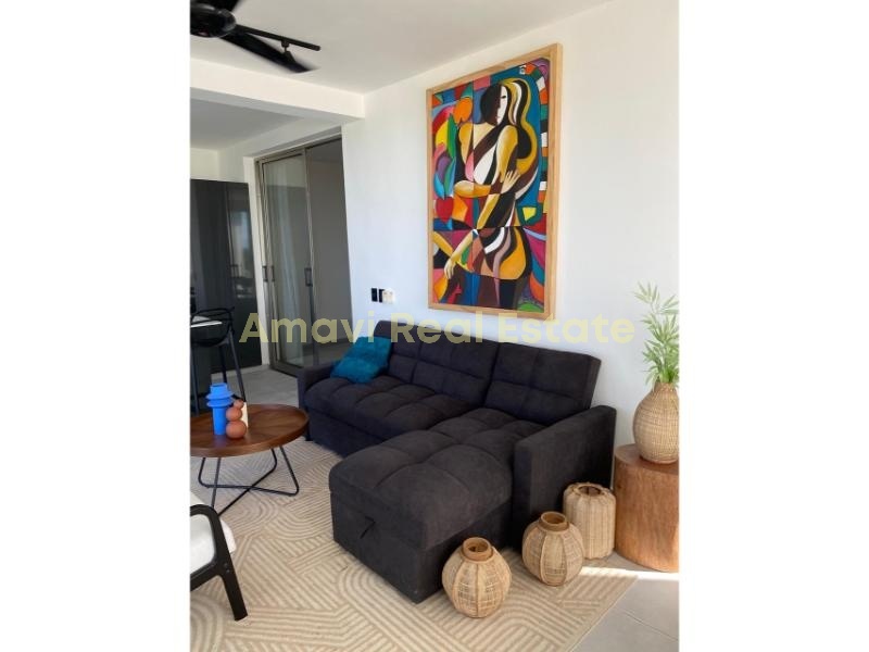 Las Terrenas, 2 Bedrooms Bedrooms, ,2 BathroomsBathrooms,Penthouse,For Sale,1076