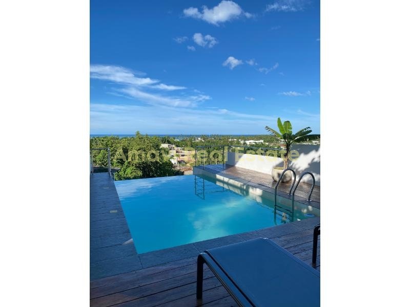 Las Terrenas, 2 Bedrooms Bedrooms, ,2 BathroomsBathrooms,Penthouse,For Sale,1076