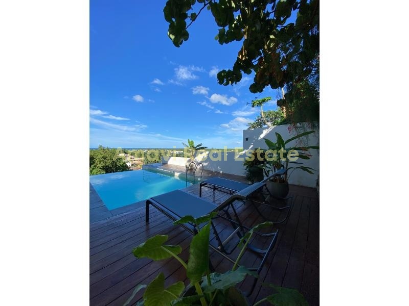 Las Terrenas, 2 Bedrooms Bedrooms, ,2 BathroomsBathrooms,Penthouse,For Sale,1076
