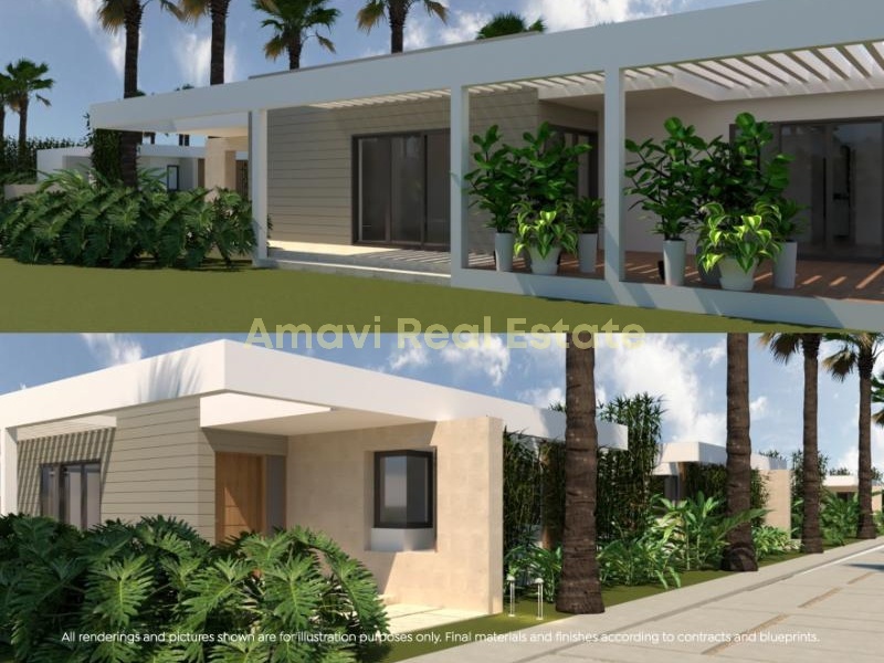 Coson, ,Pre Construction Villa,For Sale,1077