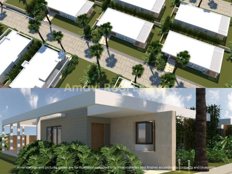 Coson, ,Pre Construction Villa,For Sale,1077