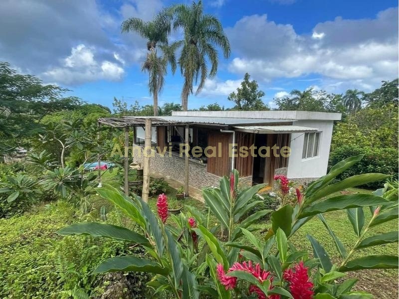 Hoyo Cacao, 2 Bedrooms Bedrooms, ,1 BathroomBathrooms,House,For Sale,1082